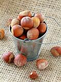 hazelnuts in a bucket on a natural background