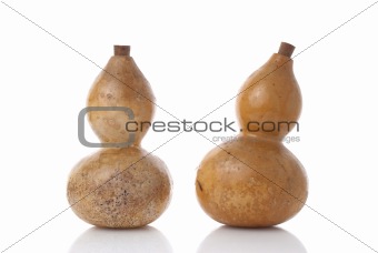 Gourds