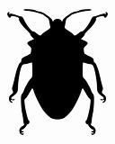 True bug silhouette