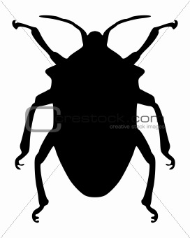 True bug silhouette