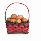 Eggs on Moss in Basket