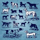dogs vintage set (vector)