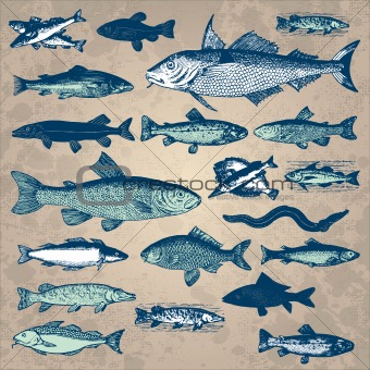 vintage fish set (vector)