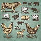 vintage farm animals set (vector)