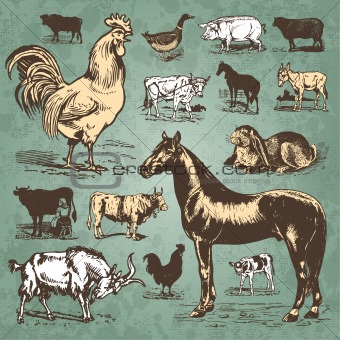 vintage farm animals set (vector)