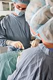 Surgeons operating on patient