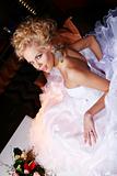 Young and beautiful bride in wedding dress