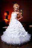 Young and beautiful bride in wedding dress