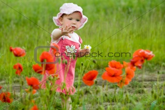 Baby-girl with poppies