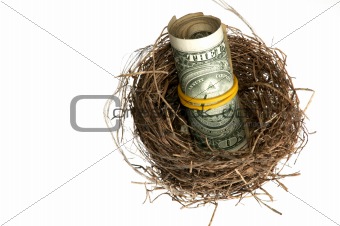Roll of dollars in nest