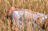  woman in a wheat field