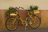 Flowers on a yellow bicycle