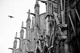 Old looking picture of the Notre Dame architecture detail