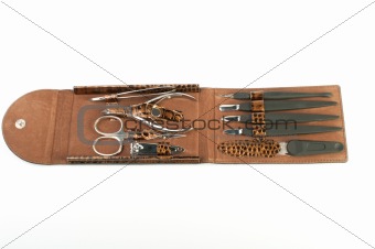 Tools for the manicure in the box