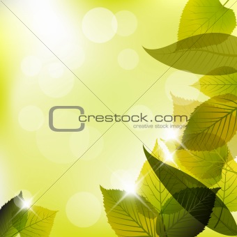 Spring leafs abstract background