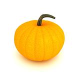 ripe pumpkin