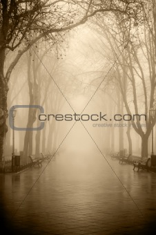 View at alley in fog
