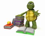 Tortoise reading a book 