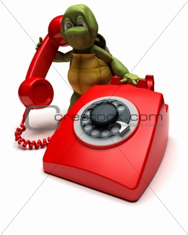 tortoise with a telephone