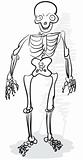 Rough stylized drawing - human skeleton