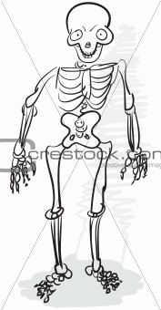 Rough stylized drawing - human skeleton