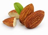Almonds kernel with leaves