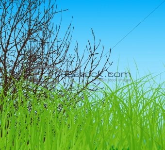 vector tree at spring green field and blue cloud sky