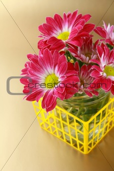 pink chrysanthemum flowers in the yellow basket