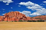 Wheat fields at Zion NP