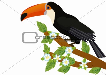 Toucan on a branch with flowers