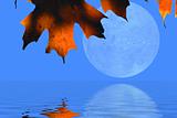 Autumn Leaves and Moon