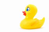 toy rubber duck 