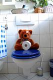 toy teddy bear on wc toilet