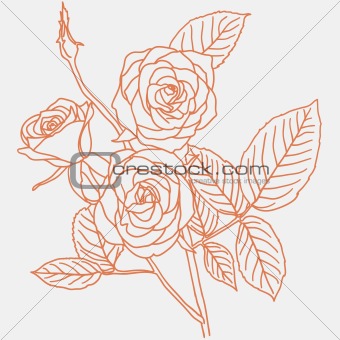 hand drawing illustration of a  bouquet of roses 