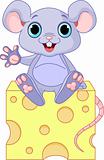 Mouse  on cheese