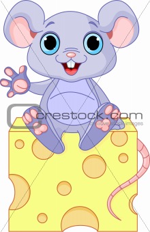 Mouse  on cheese