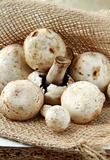 fresh organic field mushrooms in a bag