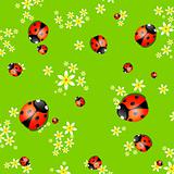 Background with lady bugs