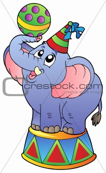 Cartoon circus elephant