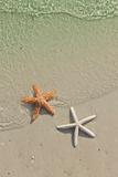 Couple of starfish on a tropical beach, tide coming in