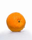 juicy orange is on a gray background
