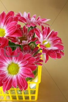 pink chrysanthemum flowers in the yellow basket