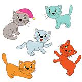Image of colorful cats