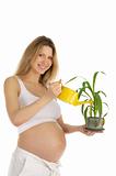 Pregnant woman watering the plant