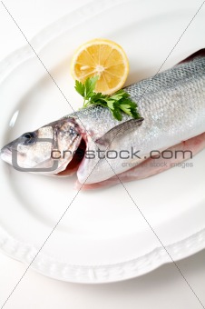 seabass  on  plate,ready to cook