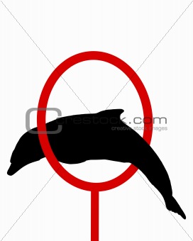 Dolphin silhouette
