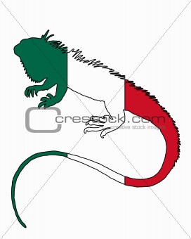 Iguana Mexico