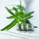 Rosemary on a fork