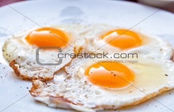 Prepared Egg