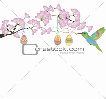 cherry blossom and hummingbird